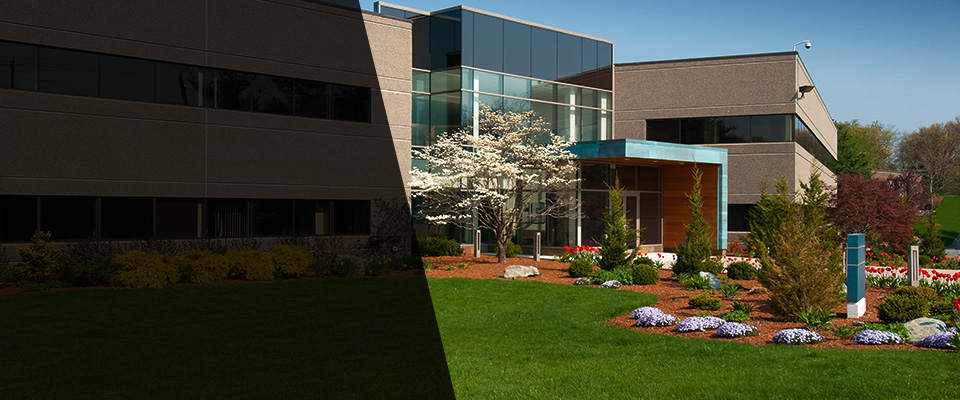 Southampton Landscapers