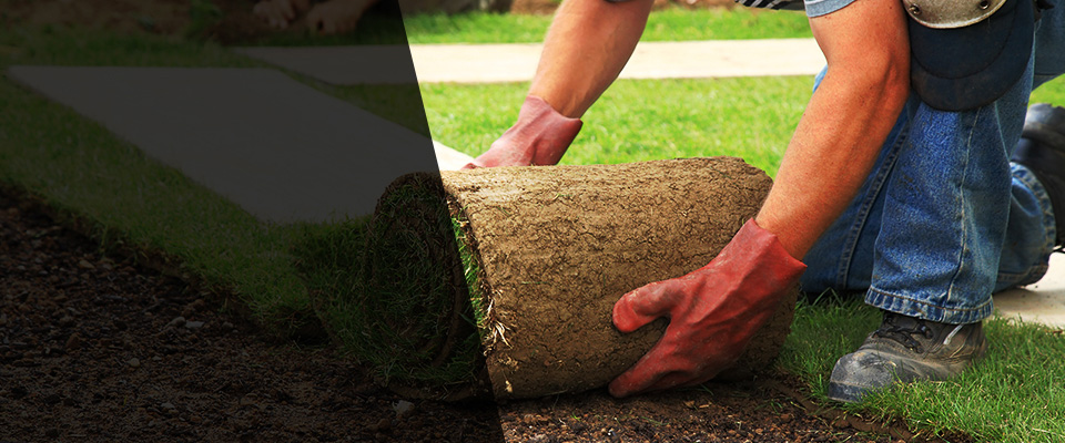 Southampton Landscapers